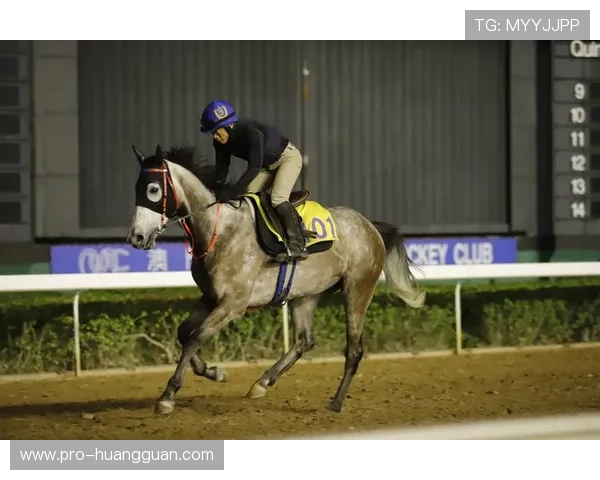 全面分析澳门赛马比赛中遵守的具体规则及最新变化