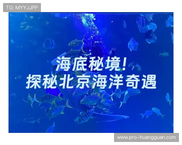 海洋之神手机登录指南帮助玩家快速进入游戏体验海底世界的精彩内容 海洋之神手机登录指南帮助玩家快速进入游戏体验海底世界的精彩内容