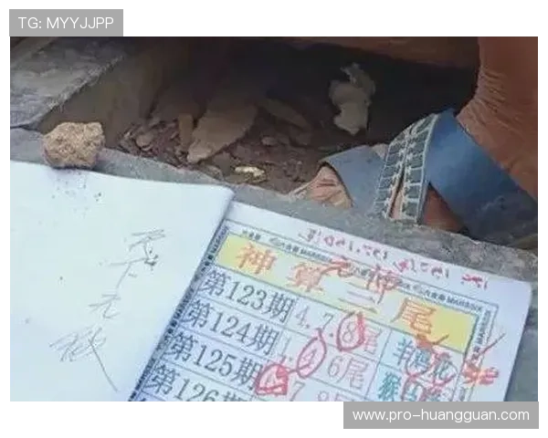澳门六合彩开奖中奖概率分析，提升玩家中奖几率的实用策略与技巧